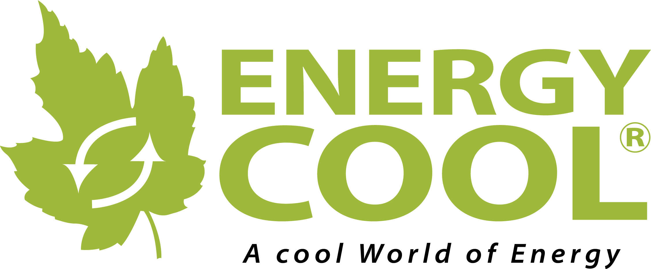 Energy Cool Logo Positiv Tagline