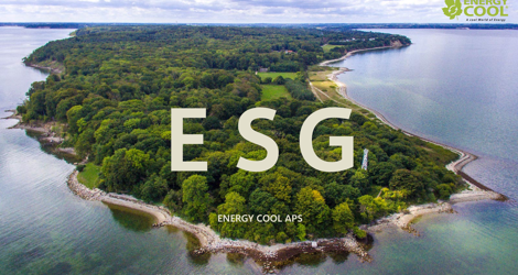 The journey towards Net Zero. Documented progress in an energy-efficient industry